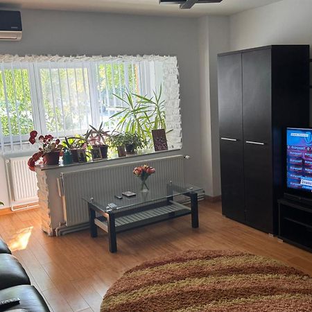 Apartament 3 Camere Отопени Экстерьер фото
